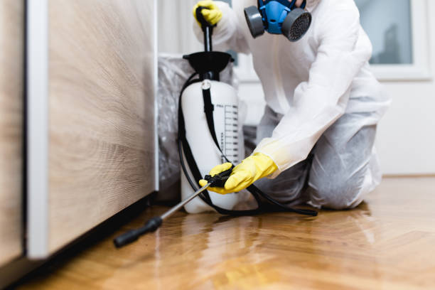 Best Spider Control Near Me  in Mission Viejo, CA