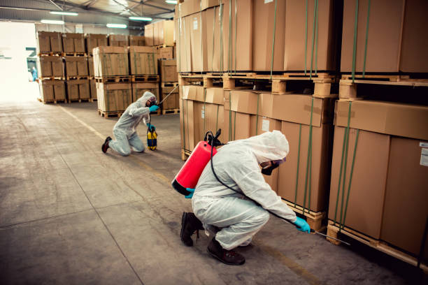 Best Rat Extermination Near Me  in Mission Viejo, CA