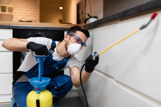 Best Bed Bug Extermination  in Mission Viejo, CA