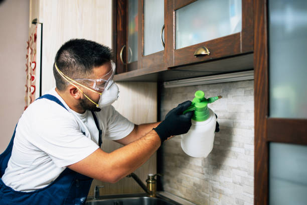 Trusted Mission Viejo, CA Pest Control Experts