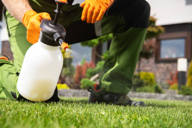 Best Bird Control  in Mission Viejo, CA