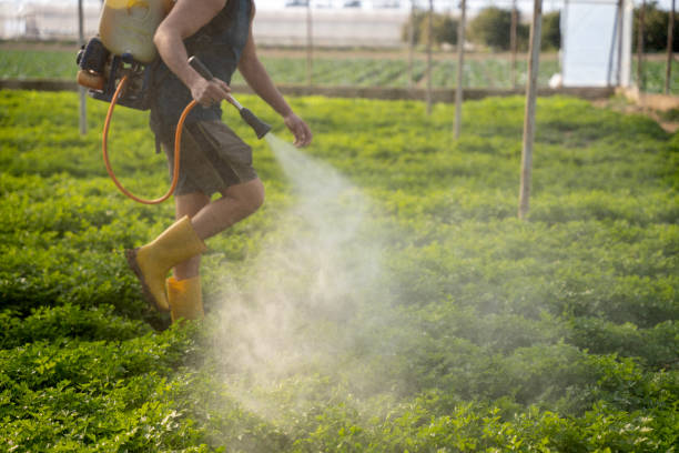 Best Pest Removal Services  in Mission Viejo, CA