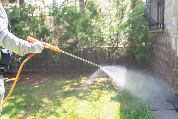 Best Commercial Pest Control Services  in Mission Viejo, CA