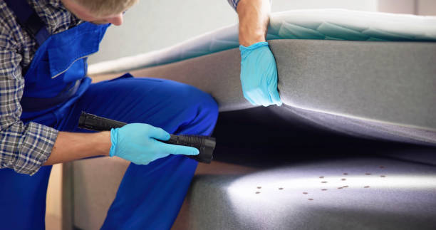 Reliable Mission Viejo, CA Pest Control Solutions