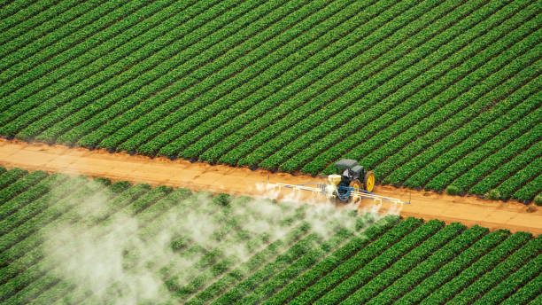 Best Mosquito Control Services  in Mission Viejo, CA