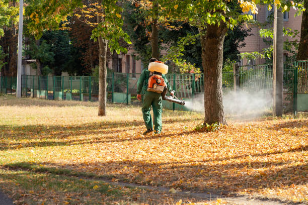 Best Best Pest Control Companies  in Mission Viejo, CA